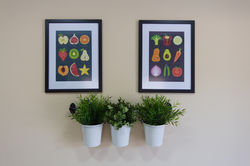 Fotografia Alojamento Local