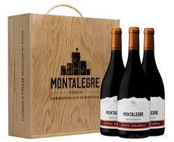 Fotografia de vinhos