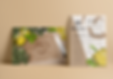 FFMockup_POrtfolio.png