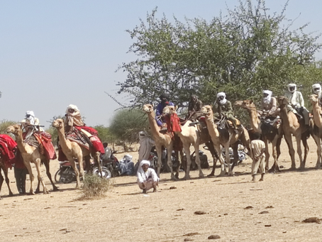 Rapport activité guera touristique 2025