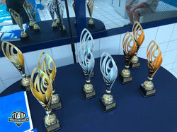 1-2.06.2018r. - Otwarte Letnie Mistr