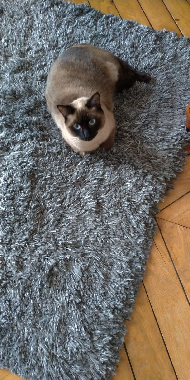 WhatsApp Image 2025-12-19 at 11.19.50 (2).jpeg