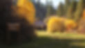 266143_24347332-446f-42c2-9c58-1844d35f0156_1440.jpg