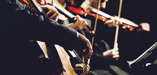 String Quartet