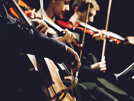 String Quartet