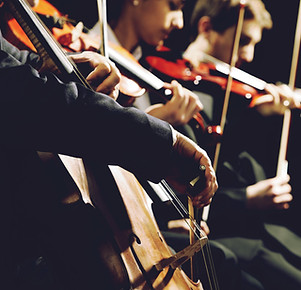 String Quartet