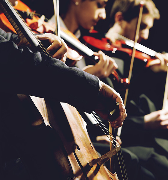String Quartet
