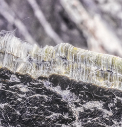 Asbest onder microscoop