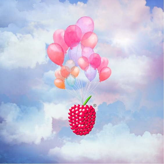 HimbeerParty