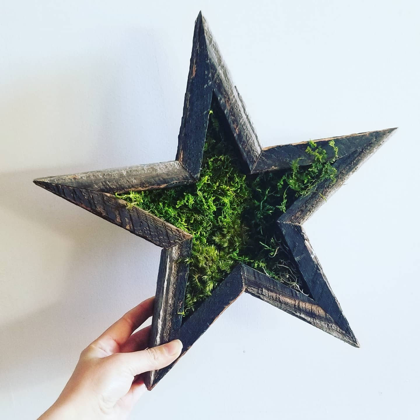 Moss Star
