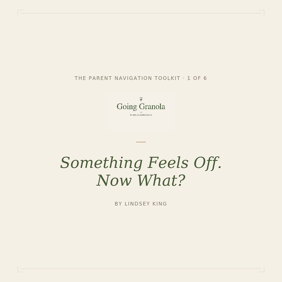 Something Feels Off. Now What? — Workbook 1