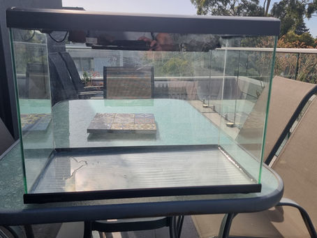 Graffiti Damage vs Regular Glass Scratches: How to Tell the Difference