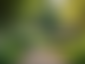 Understanding Online Emotional Healing for Emotional Well-being Support