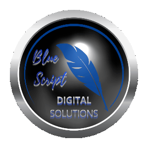 BSDS Spinning Logo.gif