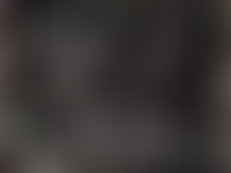 New Pokémon Reveals: Zoroark, Amoonguss, and Galvantula Lines in Black Bolt and White Flare!