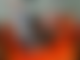 I maintain that cats instinctively know when you’ve had a bad day’ … Ruth Lawes and Hank the cat.