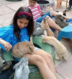 A young girl and boy play with rabbits