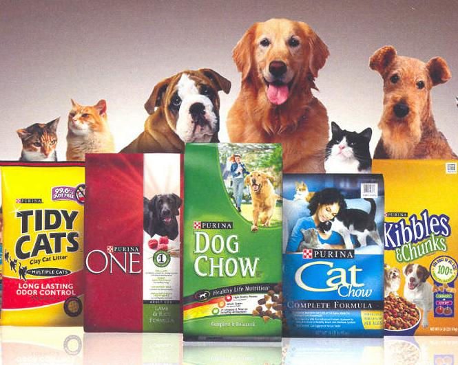 Dog and cats with multiple food brands