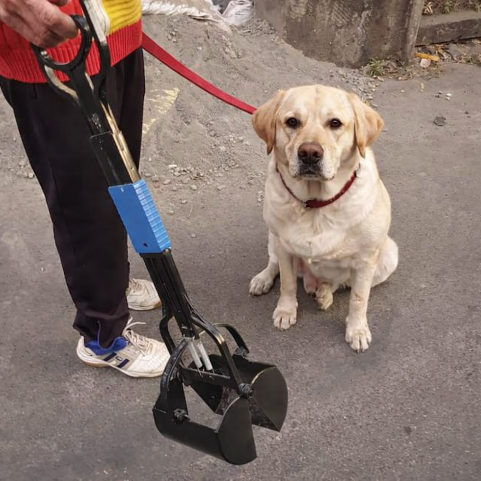 A dog owner holding a poop scoop.