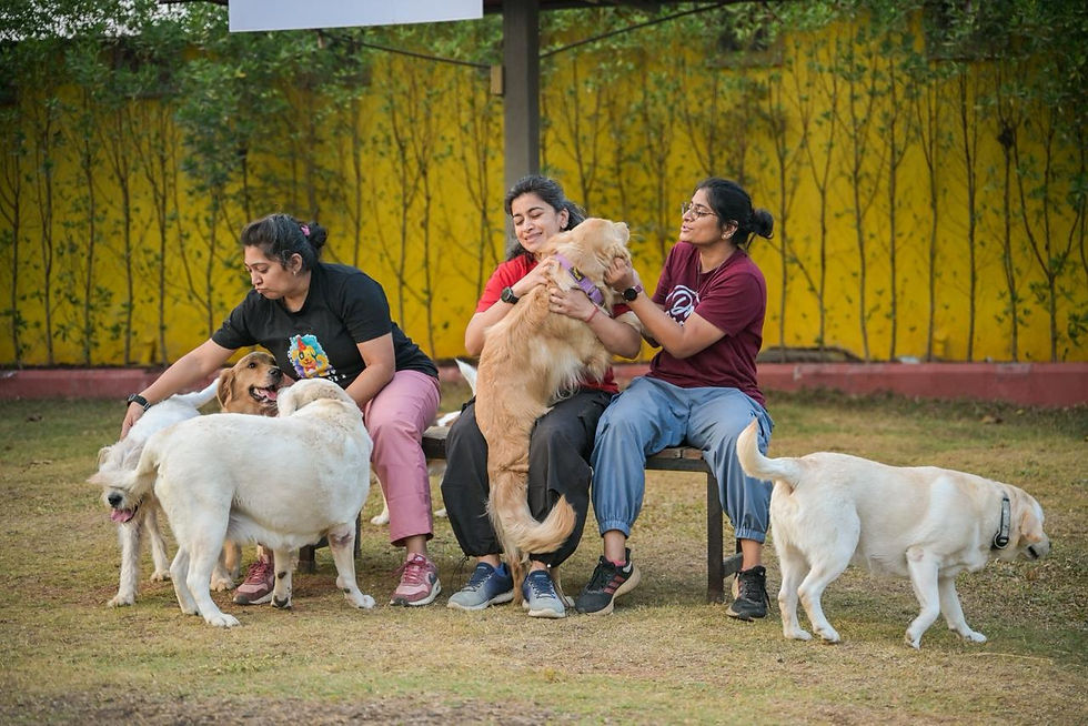 Tails of the City with their clients