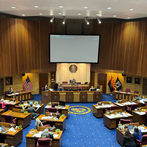 Senate votes to put the ‘illegal’ in illegal migration, make it a state crime