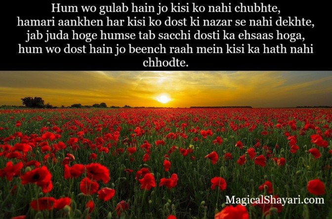 friendship-shayari-english-jab-juda-hoge-humse-tab-sachhi