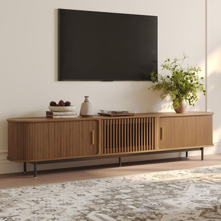 TS TV UNIT