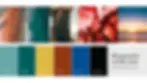 colors.webp