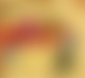 Bir Sadrazamın Portresi: Mahmud Paşa’nın İktidar Oyunu