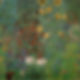 Klimt-FarmGardenwithSunflowers.jpg