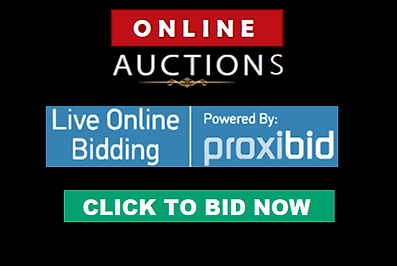 PROXIBID-LOGO.png