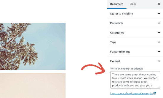 Een fragment toevoegen aan je WordPress-bericht