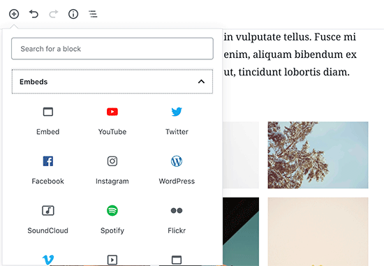 YouTube-blok toevoegen in WordPress content-editor