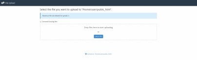 cPanel - Bestand uploaden