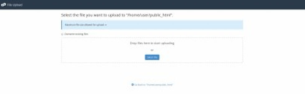 cPanel - Bestand uploaden