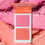 Thumbnail: 2 Color Blush Palette, 1 Piece Long Lasting Matte Blush Palette, Cheeks Contour 