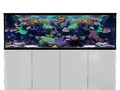 Aquarium | Meerwasseraquarien & Zubehör | Aqua-Matrix Corals GmbH