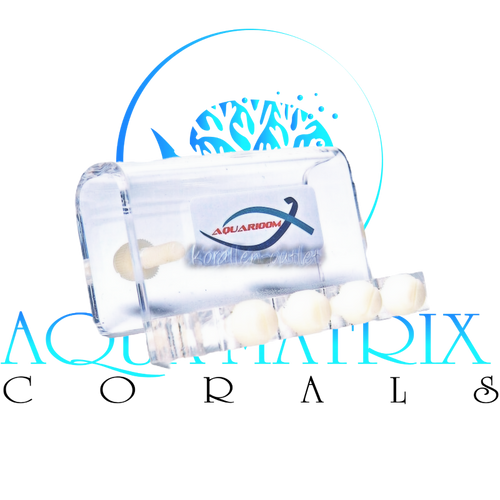 Maxspect Schlauchhalterung
