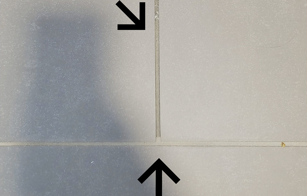 Boden vergleich_edited.jpg