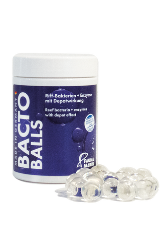 BACTO REEF BALLS