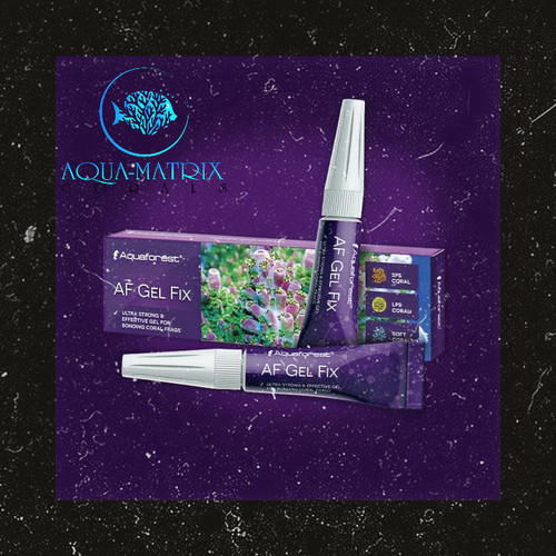 AF Gel Fix