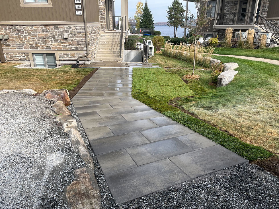 pavé
