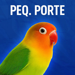 psitacídeos_pq_1.jpg