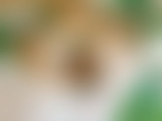 Newsletter im Sommer