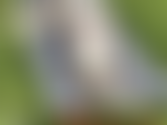 Jeder hat`s ab und zu, aber keiner spricht gerne darüber...