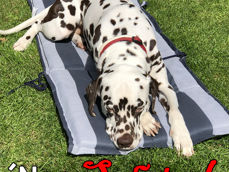 Jeder hat`s ab und zu, aber keiner spricht gerne darüber...