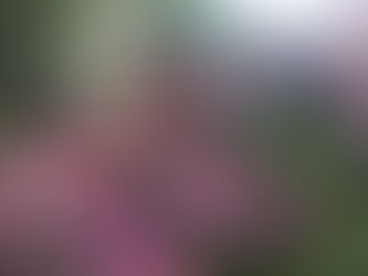 Neuigkeiten im Herbst