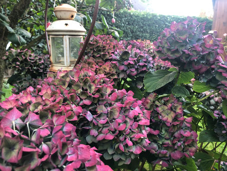 Neuigkeiten im Herbst