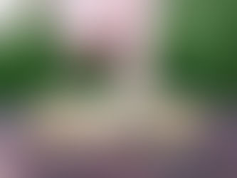 Story of My Life (in 1 Minute)