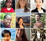 Client reviews testimonials 5 stars